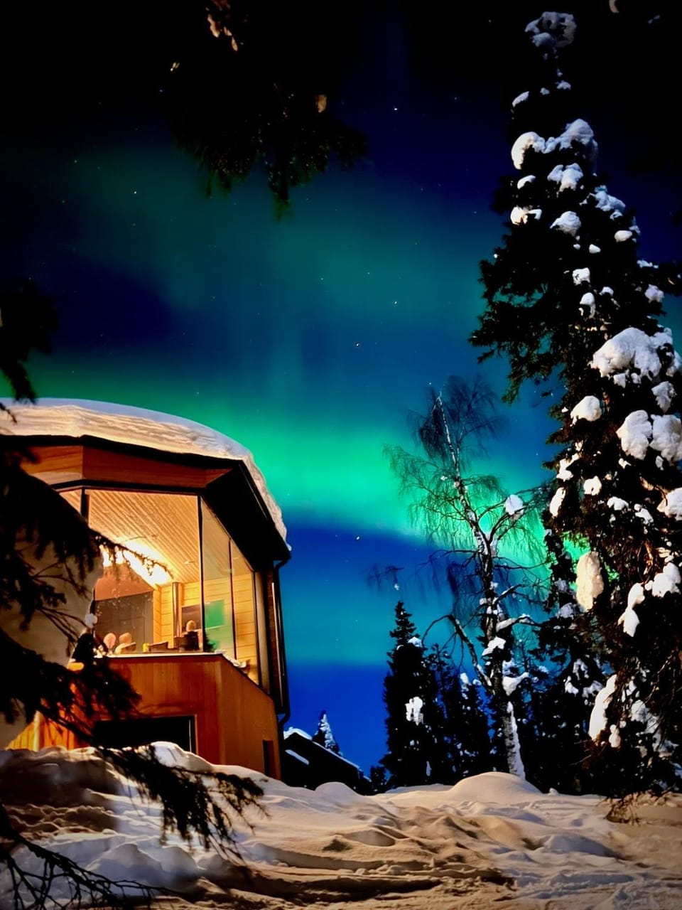 Arctic Skyline Villa Apartment in Lapland
