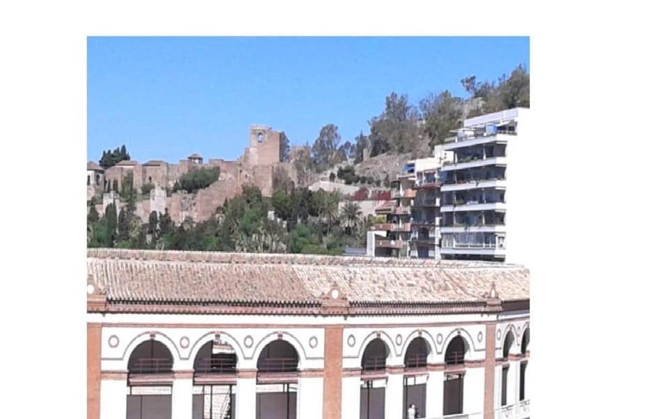 Luxury house with 3 double rooms Apartment in Malaga