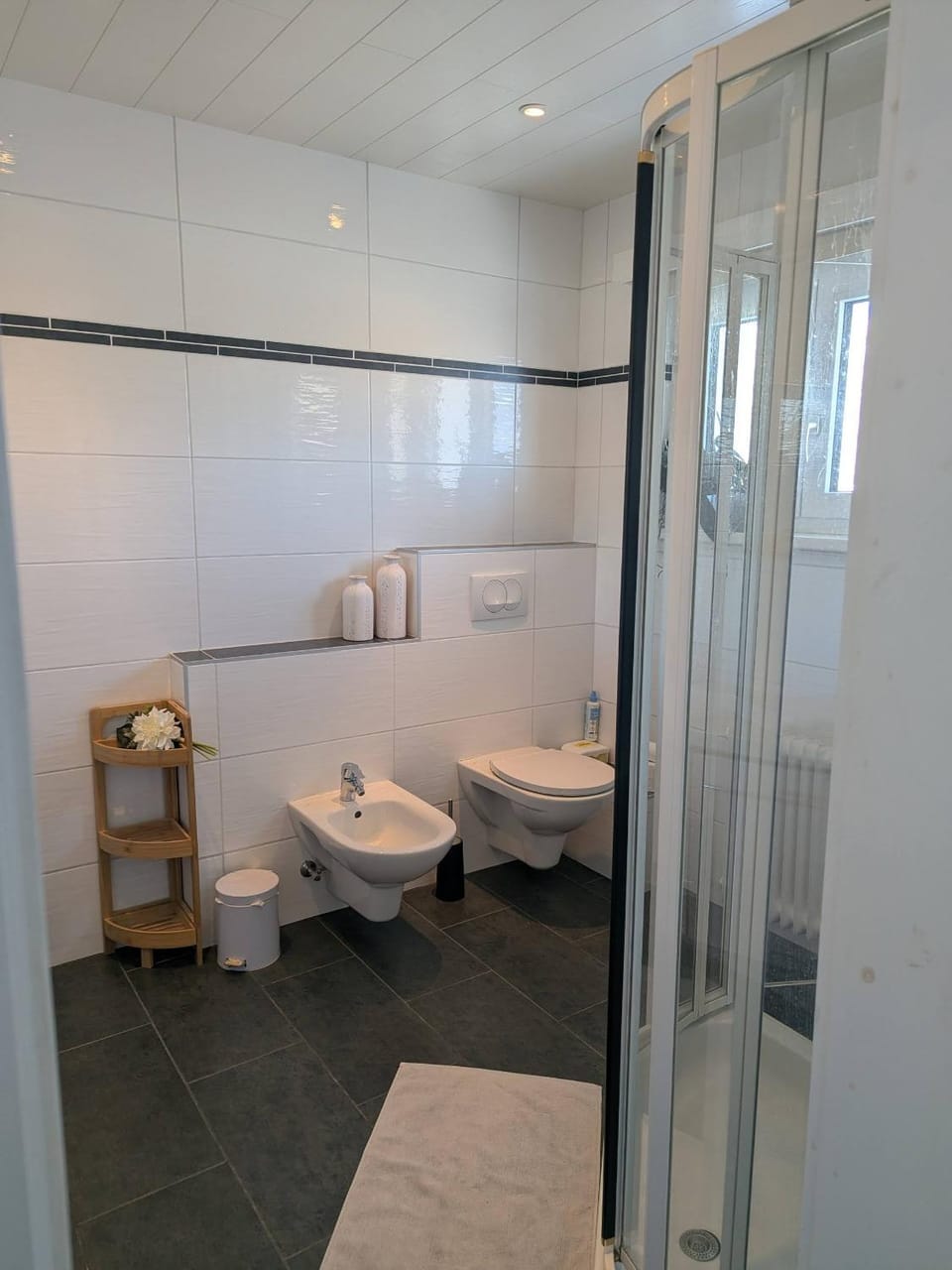 Shower, Toilet, Bathroom, bidet