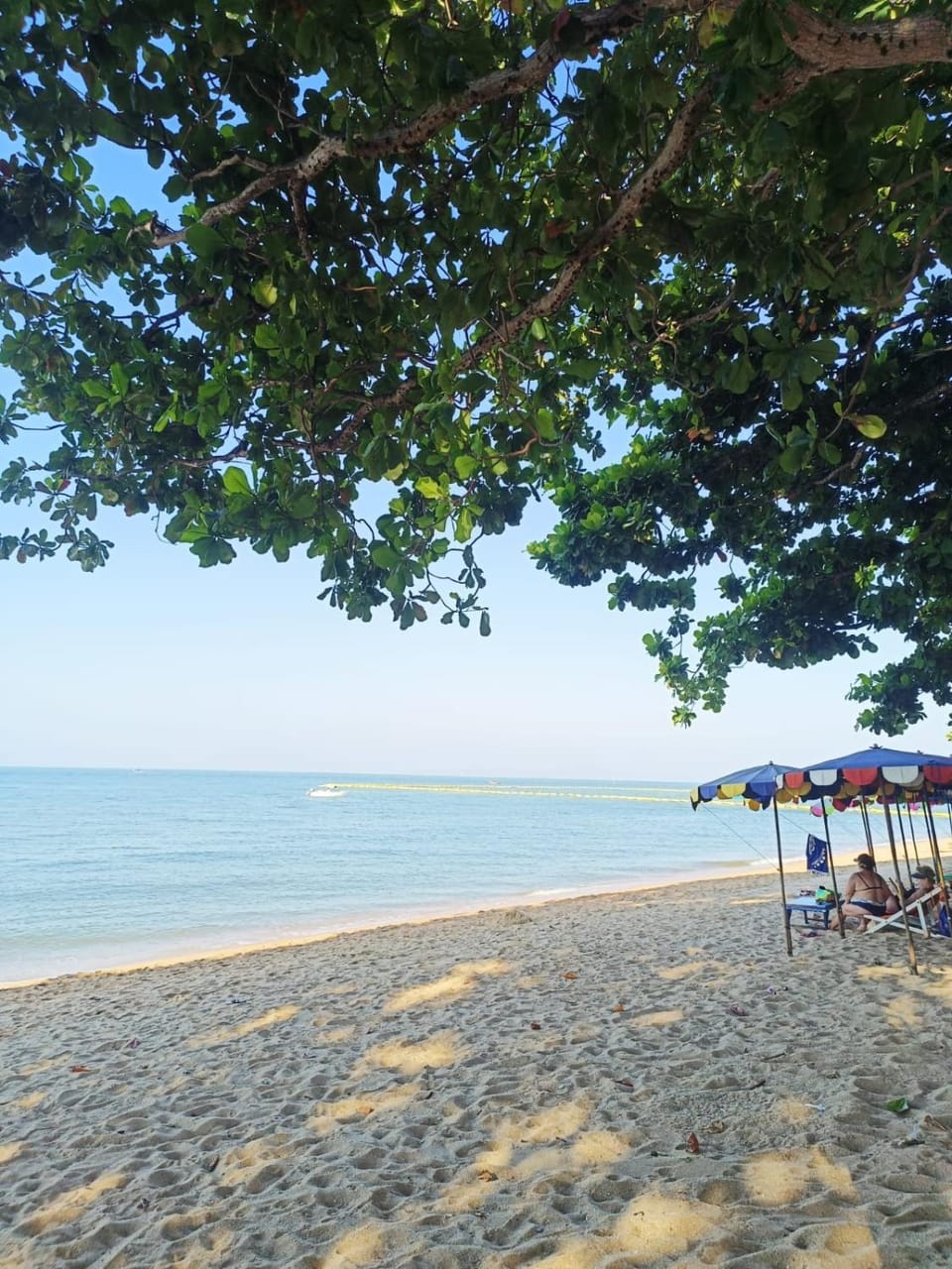 jomtien Beach Condo by Silvia Apartment in Pattaya City