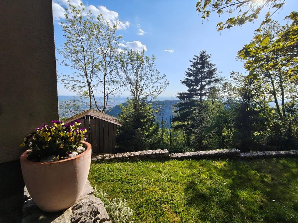 Spring, Natural landscape, Garden view