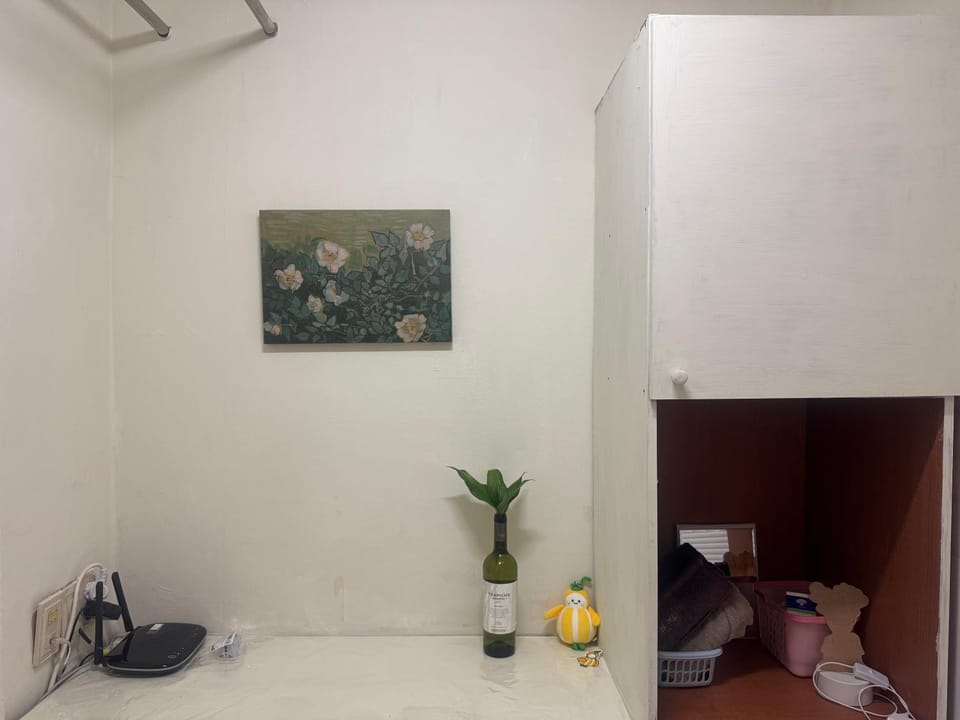 BESTEL 신사 여성전용 개인 미니룸 Female Only Private Mini Room Gosiwon 2pm ckeck in 11am ckeck out address 강남구 논현동6-8 BESTEL, Check the message for the check in Bed and Breakfast in Seoul