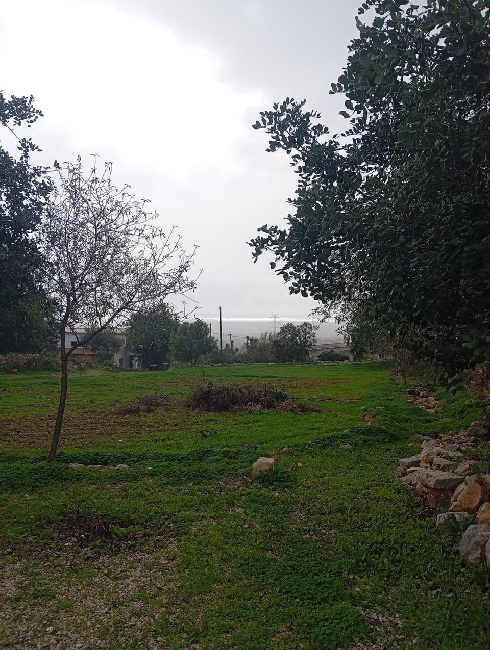 Casas Girasol Apartment in Faro District