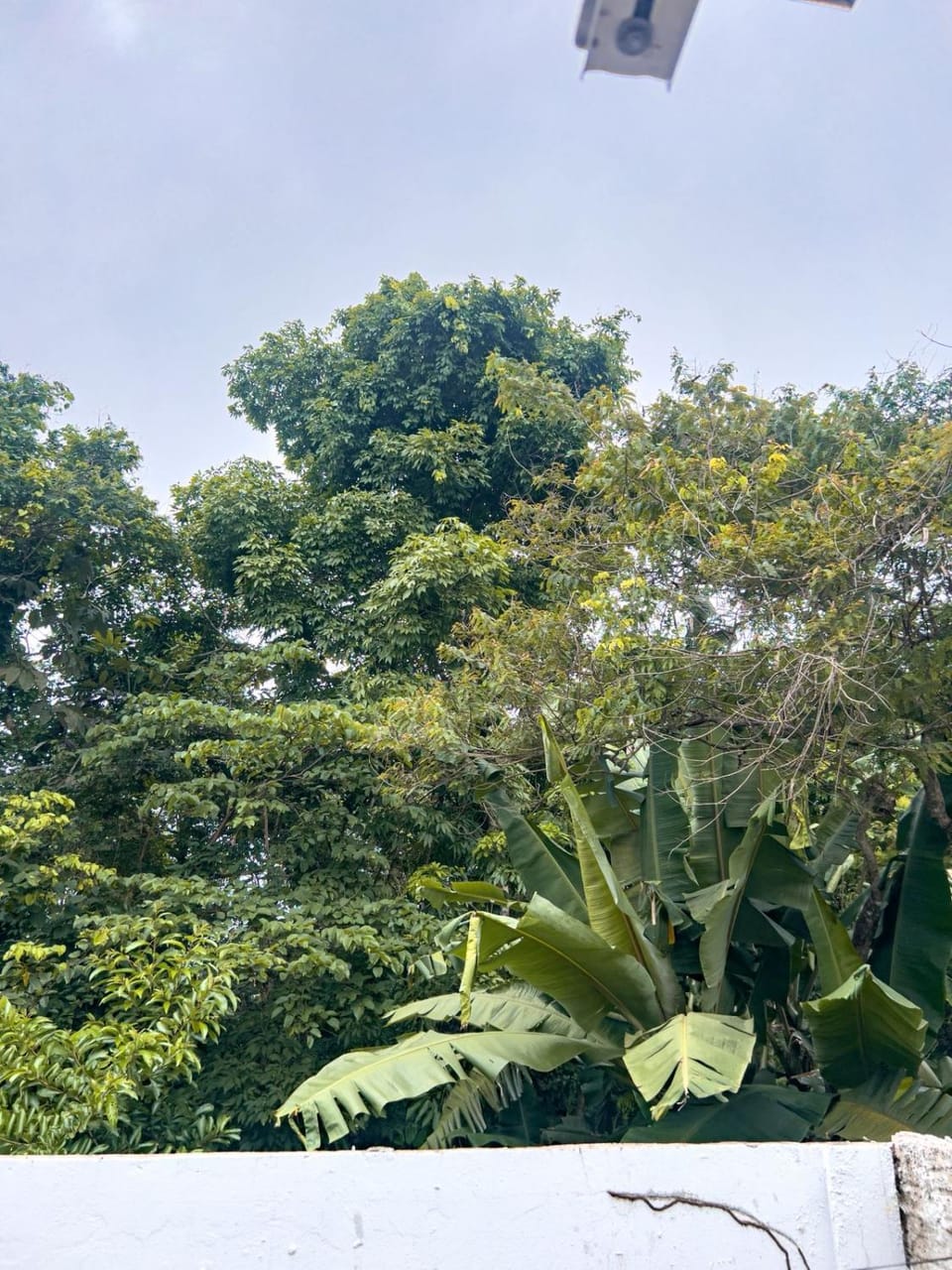 Natural landscape