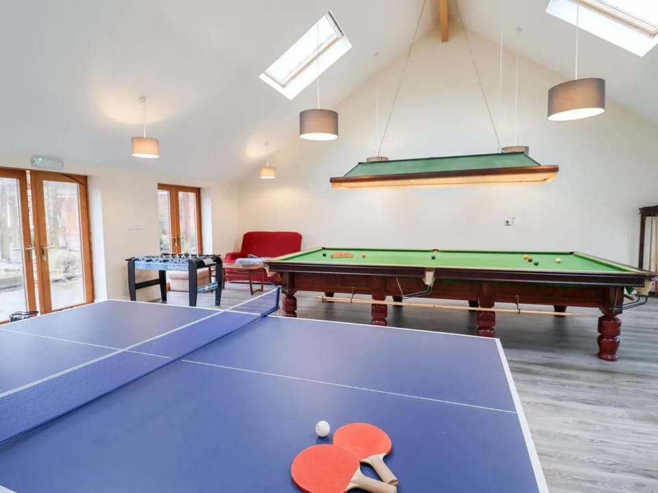 Billiard, Game Room, Table tennis, Decorative detail