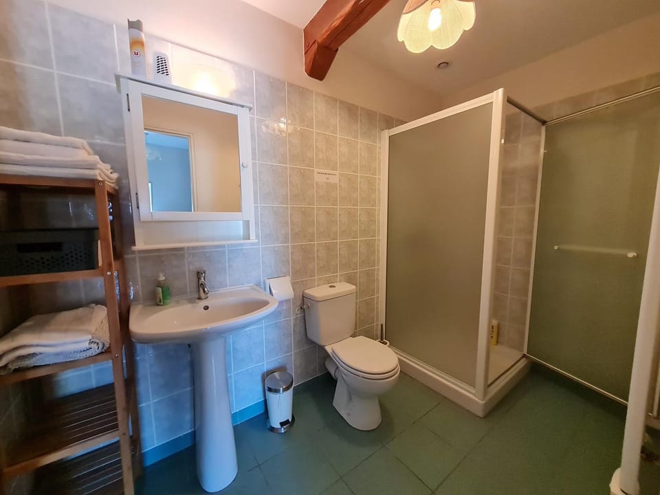 Shower, Toilet, Bathroom, towels