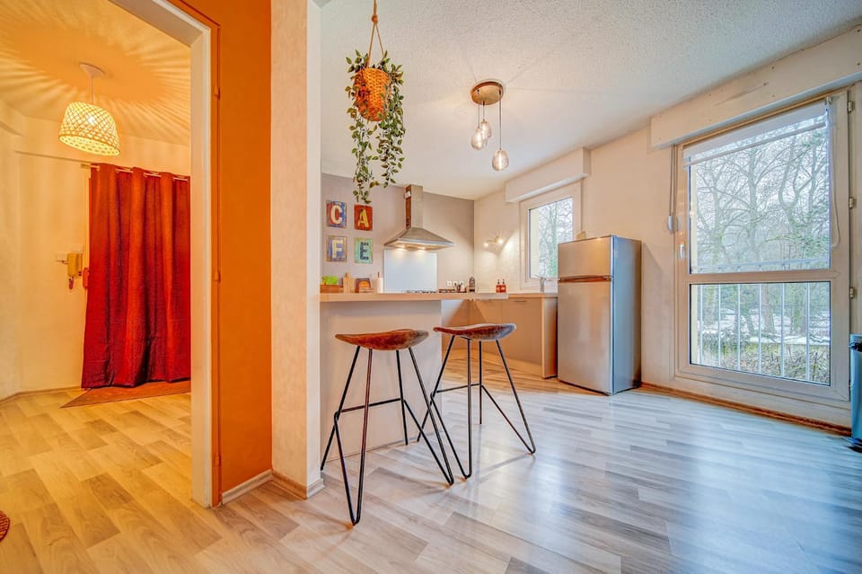 Appartement N1 Apartment in Grand Est
