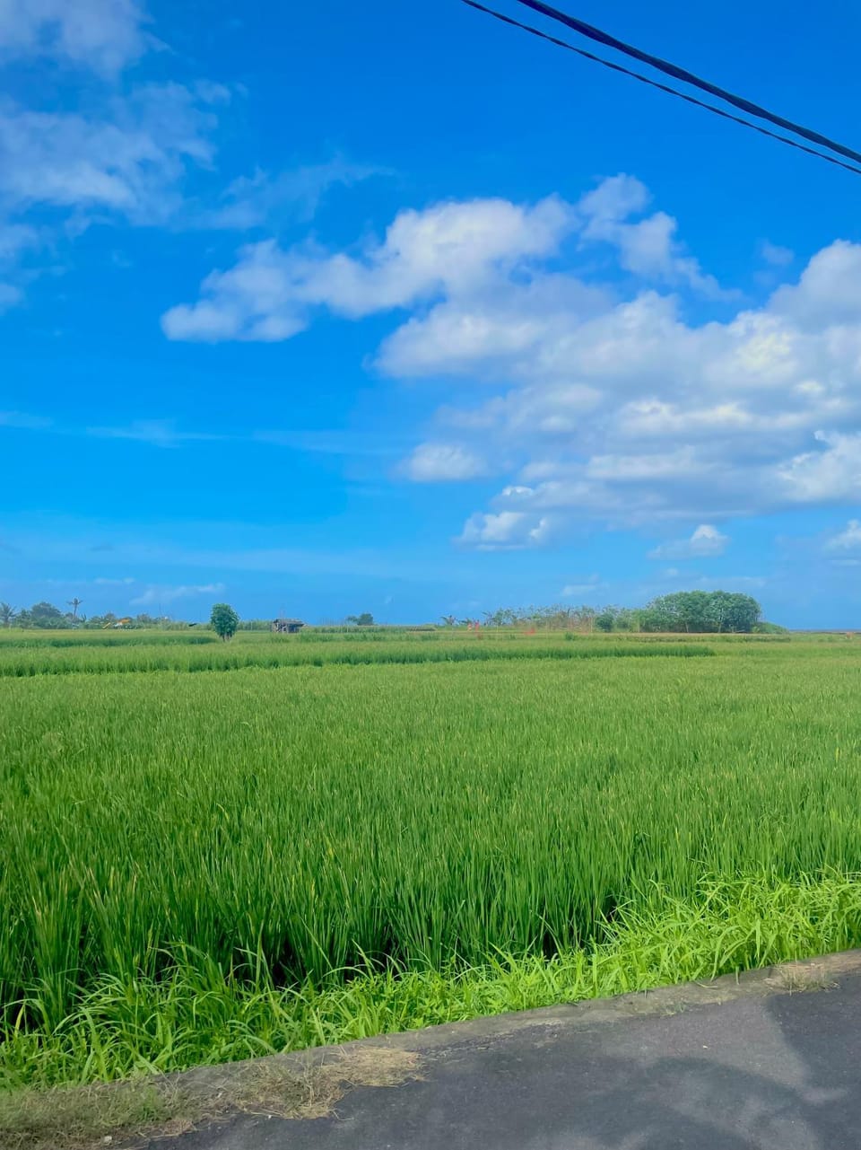 Day, Natural landscape