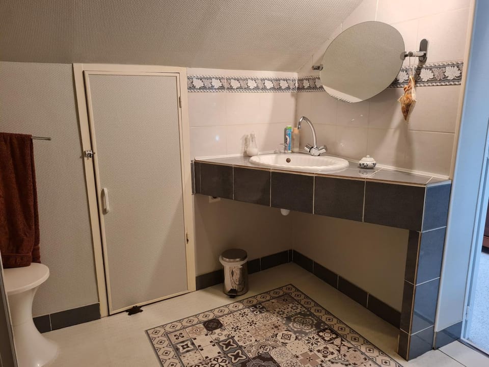 Shower, Toilet, Bathroom, towels