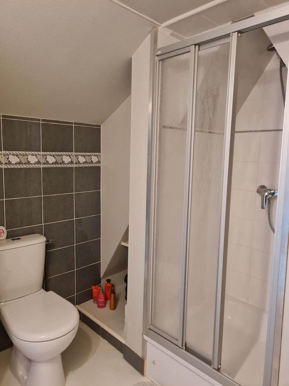 Shower, Toilet, Bathroom