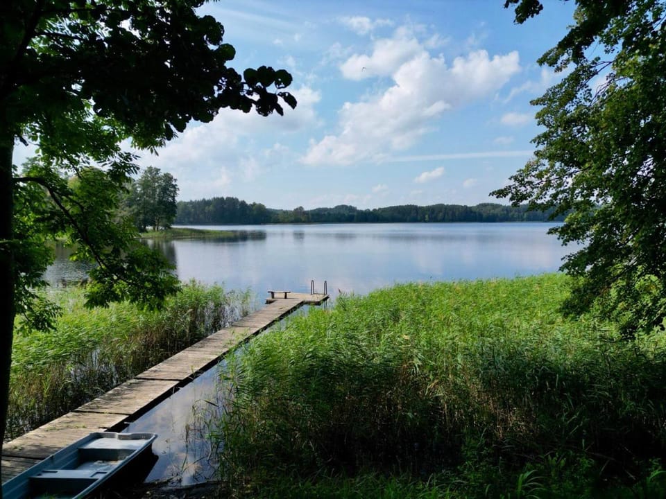 Vila Zara House in Lithuania
