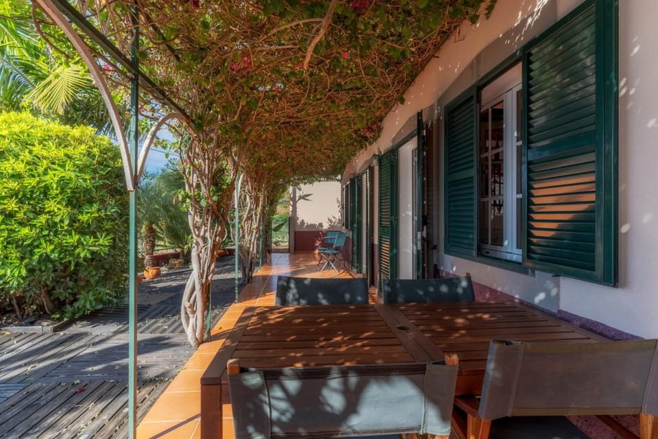 Patio, Day, Neighbourhood, Street view
