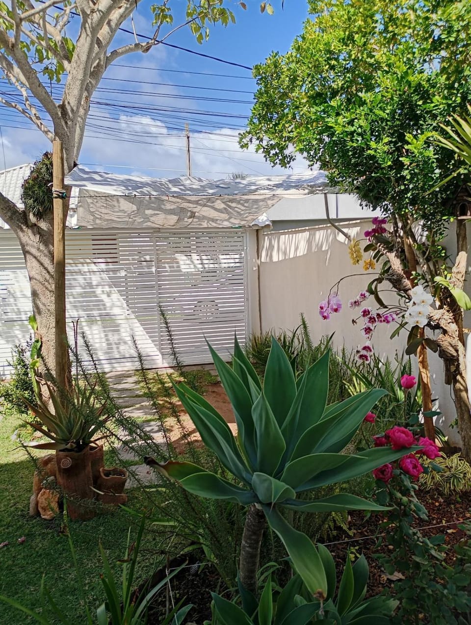 Garden, Garden view