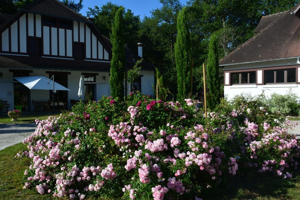 Property building, Day, Garden, Garden view