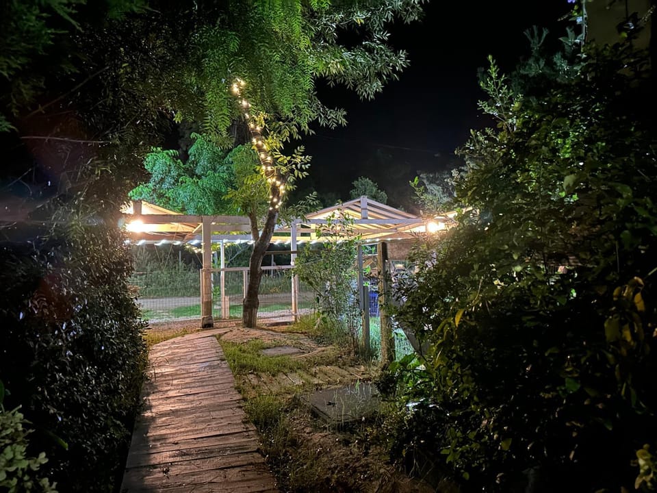 Night, Natural landscape, Garden, Garden view