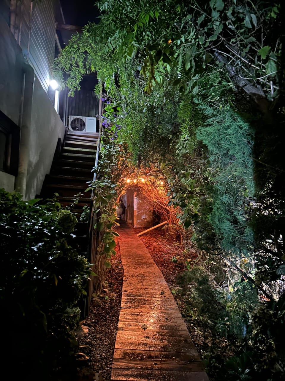 Night, Natural landscape, Garden, Garden view