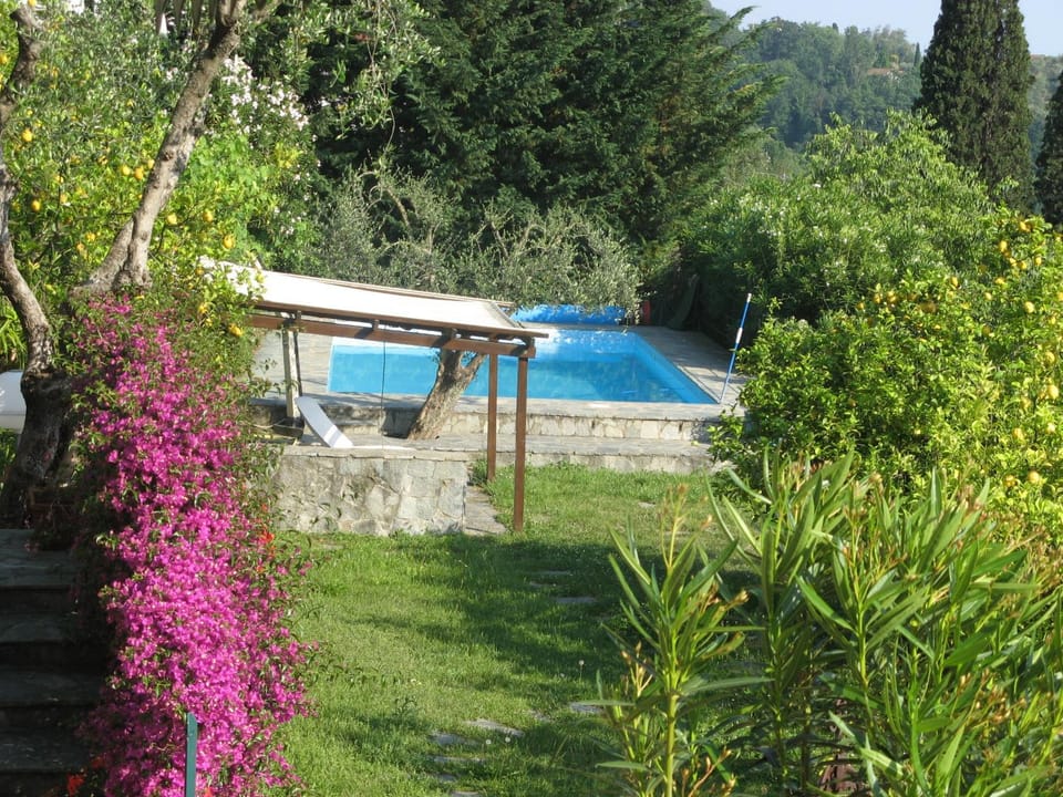 Natural landscape, Garden, Pool view, Swimming pool, sunbed