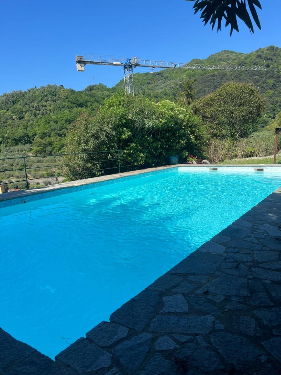 Natural landscape, Pool view, Swimming pool, sunbed