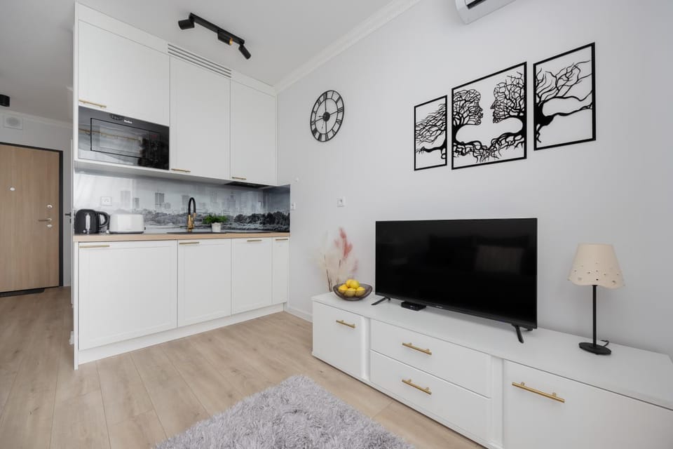 TV and multimedia, Kitchen or kitchenette, Evening entertainment, stove