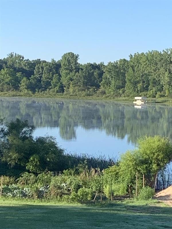 Lakefront Fishing With Hot Tub and Kayaks House in Michigan
