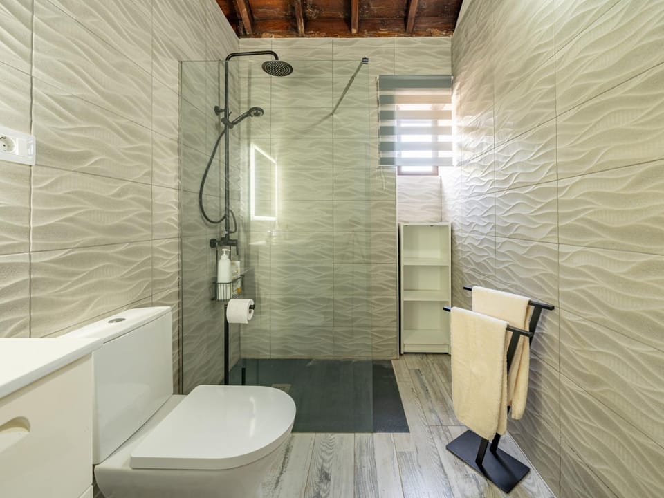 Shower, Toilet, towels