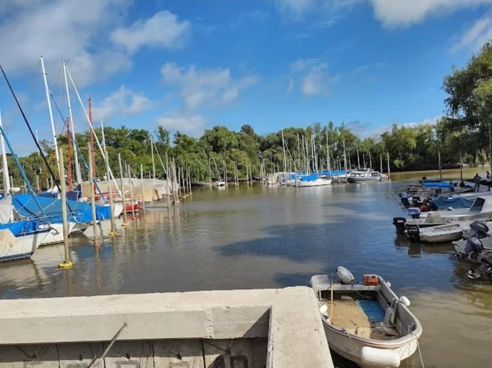 Natural landscape, River view