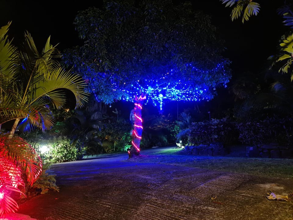 Residence Can' Hibiscus House in Martinique