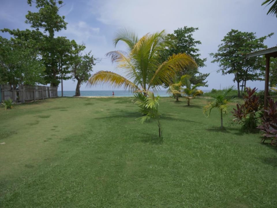 Natural landscape
