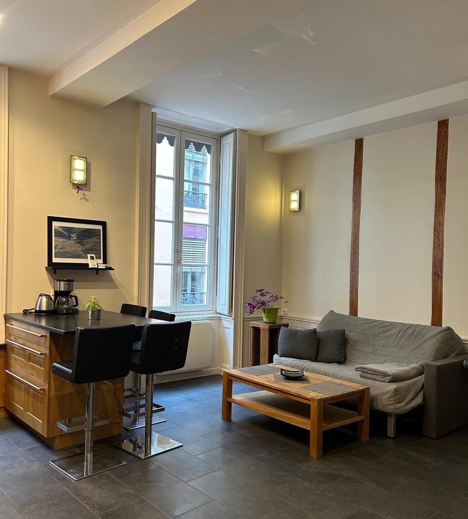 Appartement lumineux en plein coeur de Lyon Apartment in Lyon