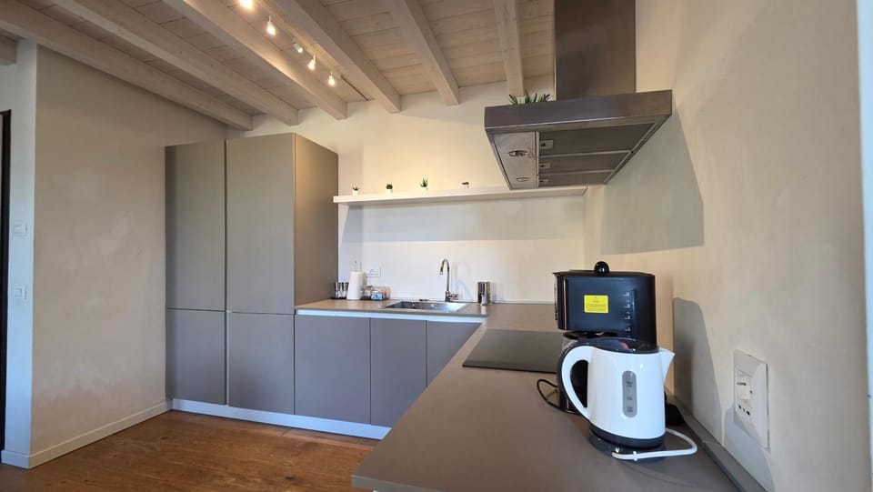 Coffee/tea facilities, Kitchen or kitchenette, minibar, stove, toaster