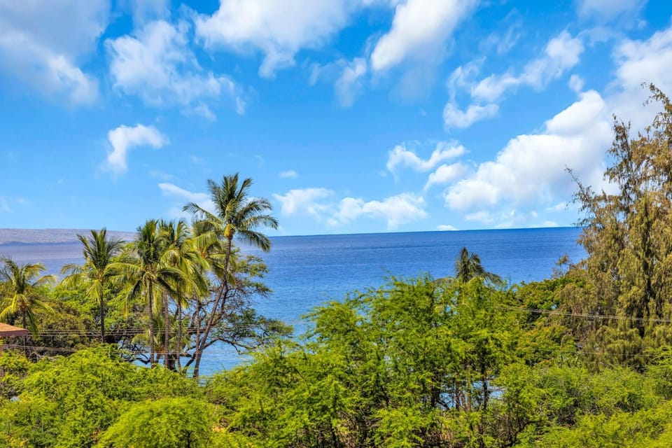 Maui Banyan P409 Suite Apartment in Wailea