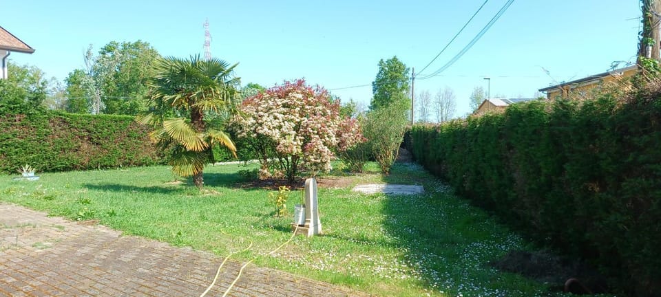 Villa Polesine Villa in Porto Tolle