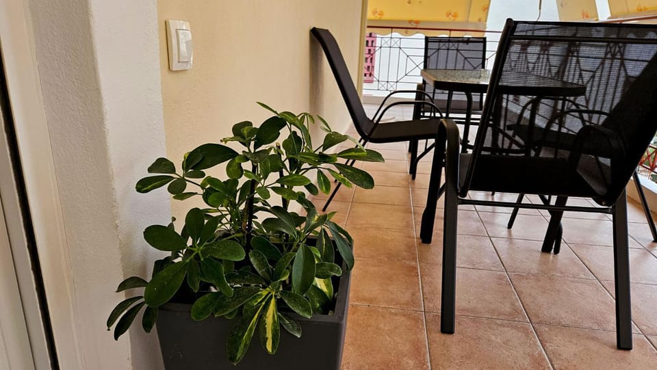 Patio, Balcony/Terrace