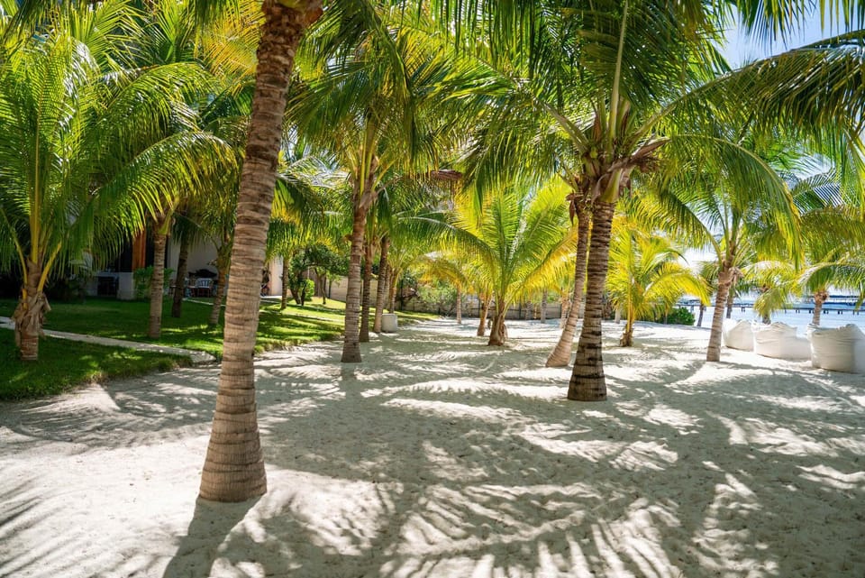 Caribbean Vibes - 4BR - Beachfront Pool & Relax Apartment in Isla Mujeres