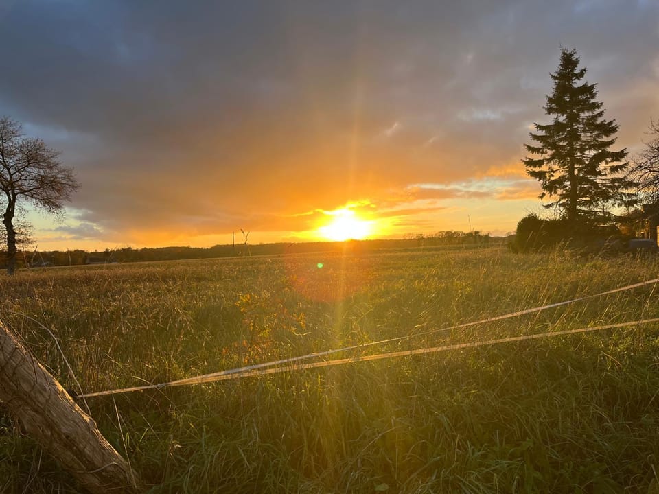 gîte La Maison d'Odette House in Brittany