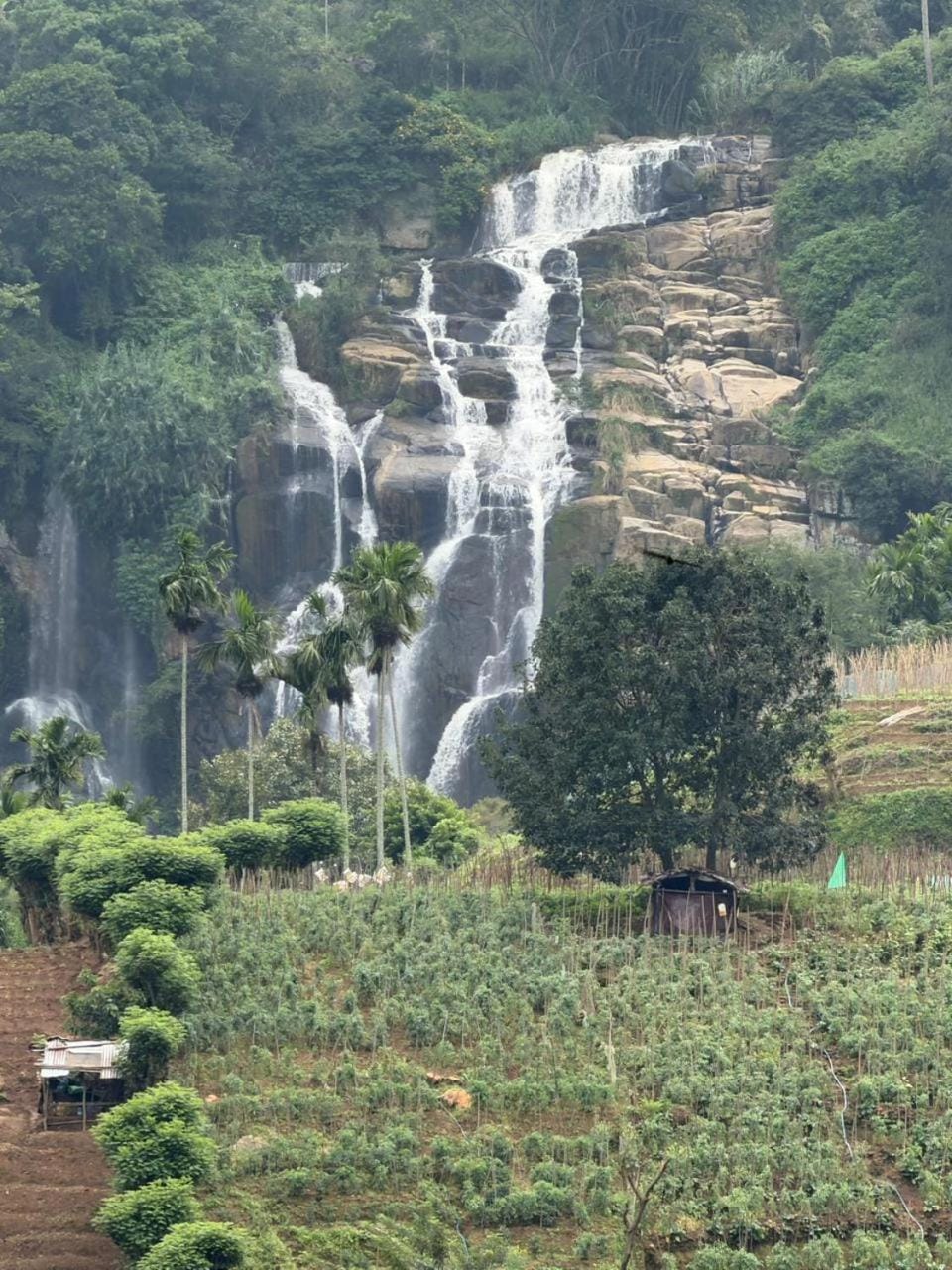 Cascade Vally Bed and Breakfast in Ella