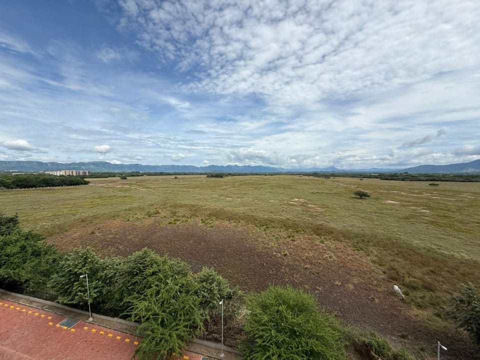 Property building, Garden view