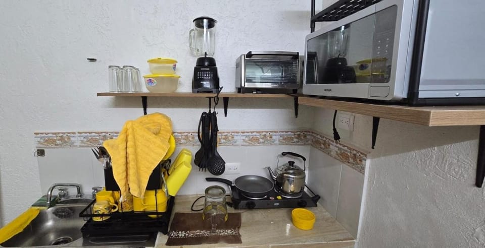 Kitchen or kitchenette, microwave, oven