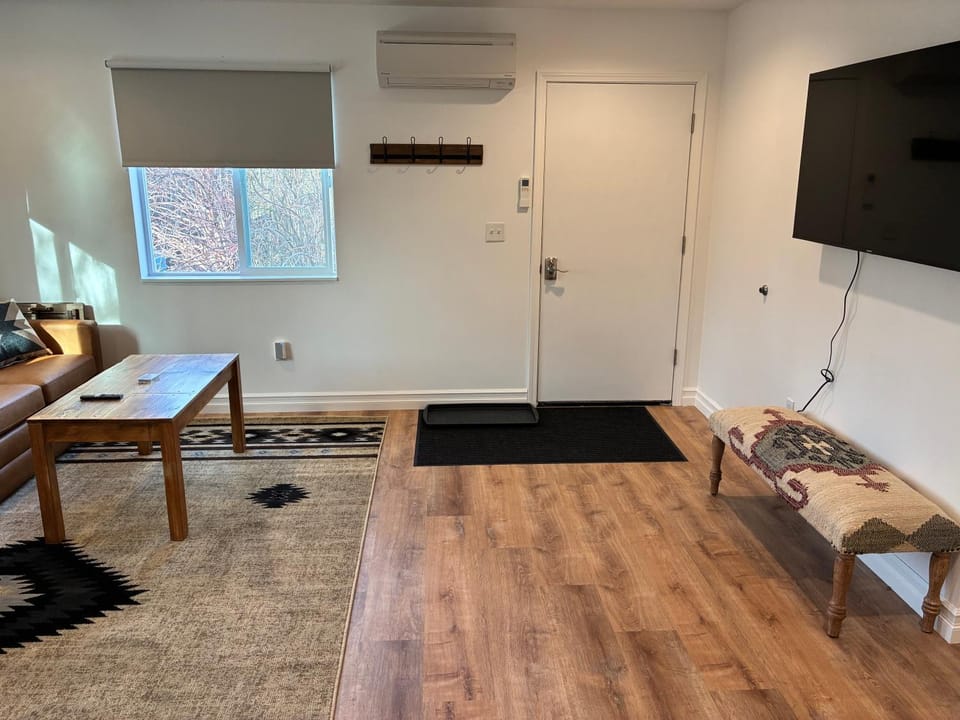 TV and multimedia, Living room, Photo of the whole room, Seating area, air conditioner