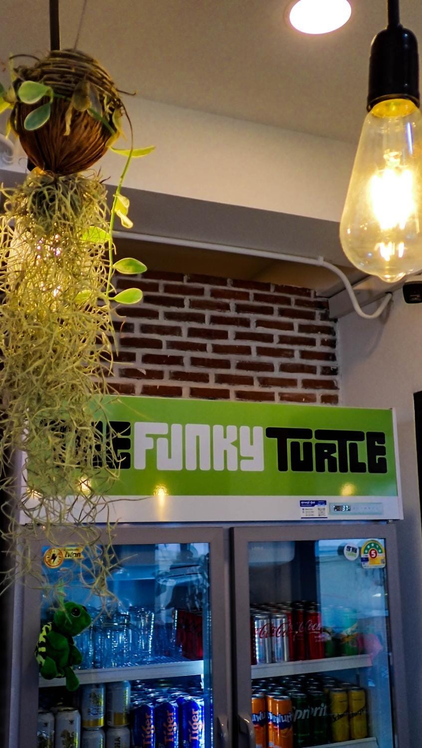 The Funky Turtle Hostel in Ko Tao