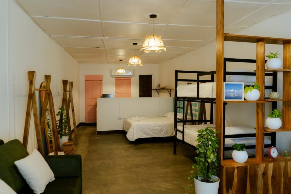 Bed, Photo of the whole room, bunk bed