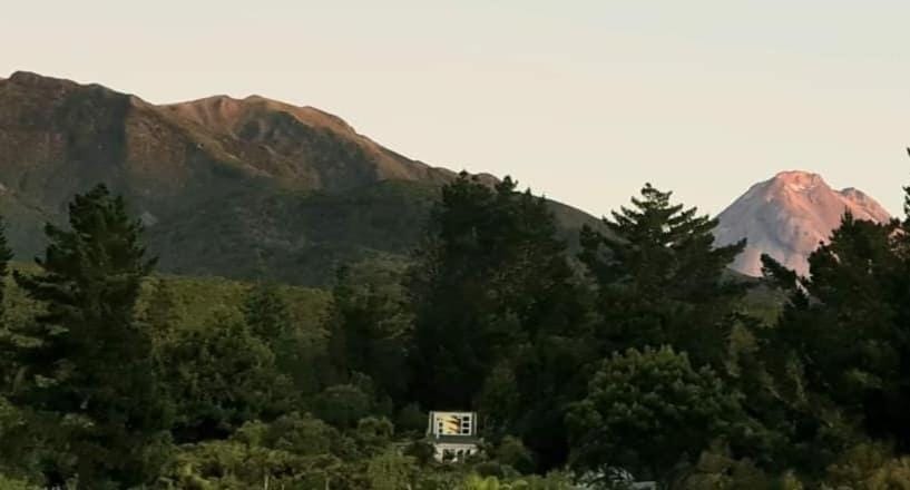 Katikara Eco-Community - Rosewood accommodations Hostel in Taranaki, New Zealand