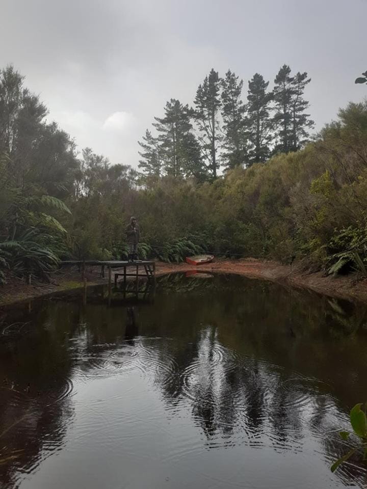 Katikara Eco-Community - Rosewood accommodations Hostel in Taranaki, New Zealand