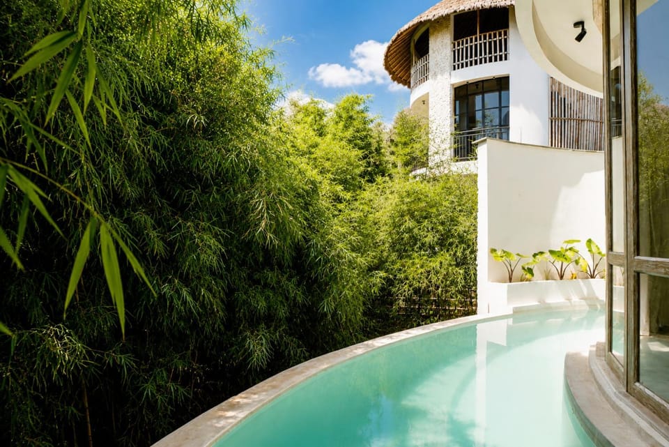 Day, Garden view, Swimming pool