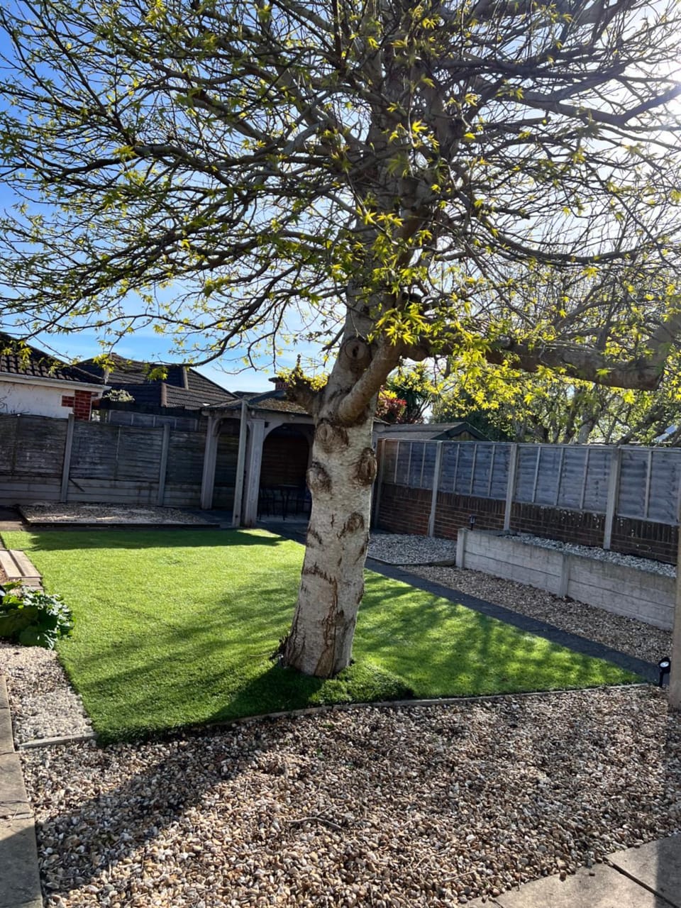 Garden view