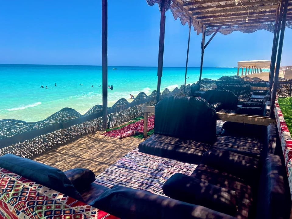 Garden view House in Egypt