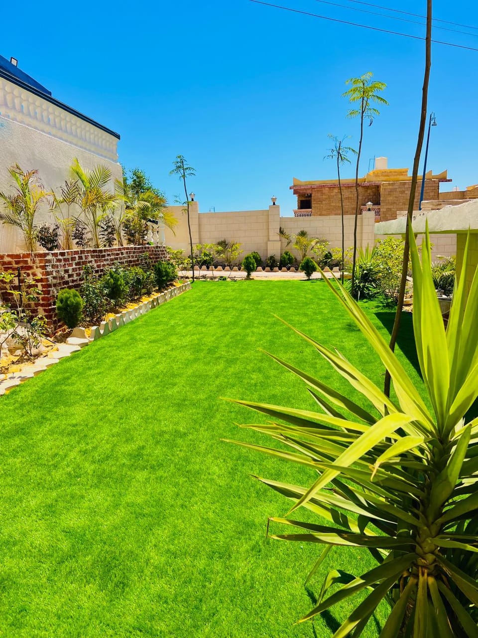 Garden view House in Egypt