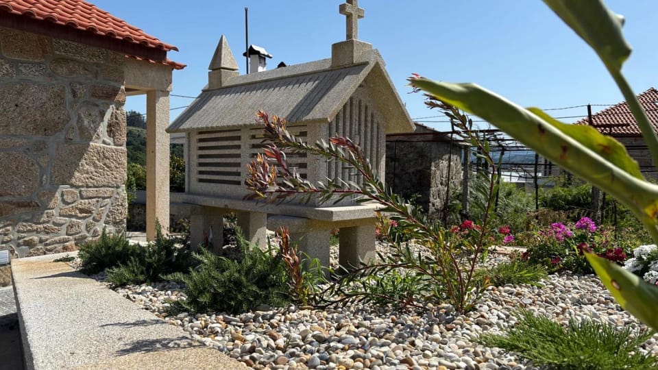 Spring, Garden, Garden view