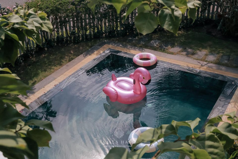 Garden, Garden view, Pool view, Swimming pool