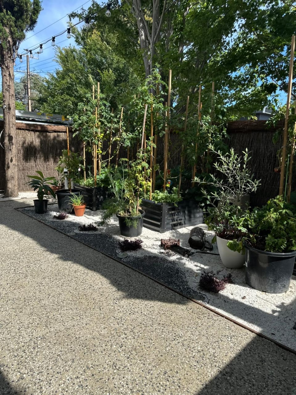 Property building, Garden view